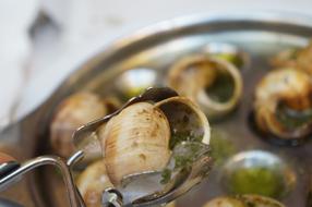 Snails Paris