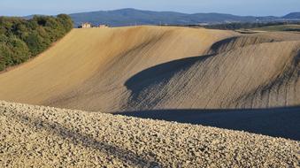 yellow Lands Of Siena, scenic rural landscape, Italy, Tuscany, castelnuovo berardenga