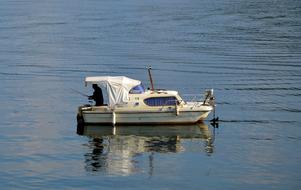 Boat Lake Fish