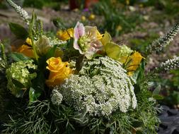 Flowers Bouquet Floral