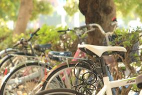 Bike Cbd