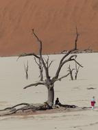 Soussousvlie Dead Trees Namibia