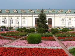 colorful Flower Bed in Moscow Russia