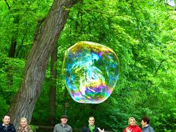 Soap Bubble Flying Weightless