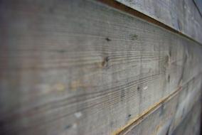 Wood Board perspective photo