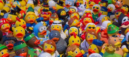 Toy Ducks Plastic Toys