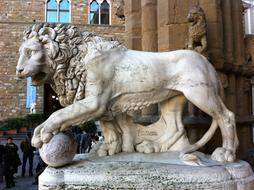 Lion Florence