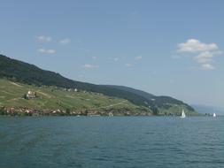 Biel Lake Summer Peter