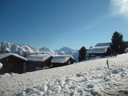 Snow Switzerland White