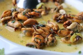 Seafood Gourmet Delicious