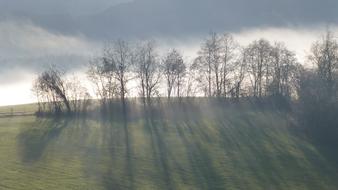 Lake Forggensee Autumn