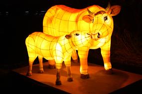 Cow Lantern Festival
