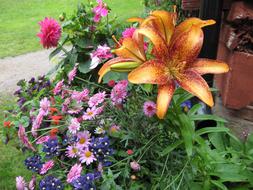 Flowers Color Colorful
