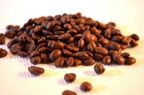 aromatic grains on table