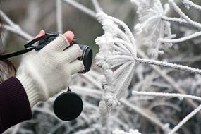 Camera Winter Frozen hand
