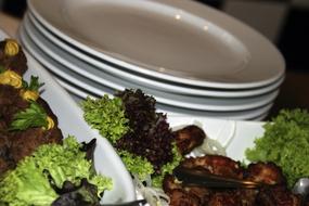 meat dishes by plates
