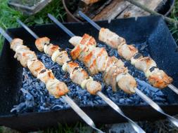 Shish Kebab Coals