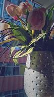 Vase Morning Sun Flower