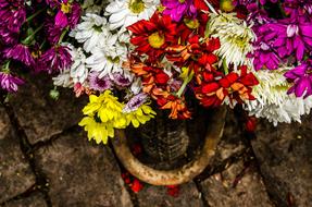 Carriole Flowers