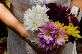 Bouquet Flowers