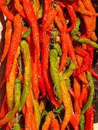 colorful Chili pepper drying on sun
