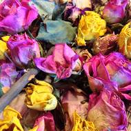 Top view of the colorful and beautiful roses with the green leaves