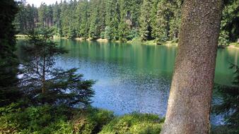 Summer Resin lake in forest