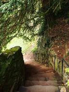 Steps Stairs Stone