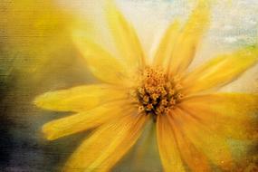 summer Yellow Flower drawing