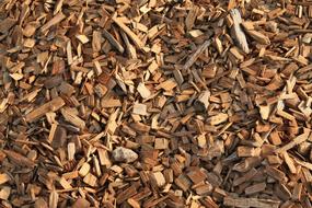 Wood Chips