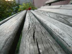 Bench Garden