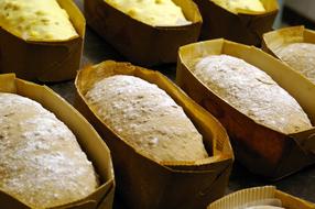 Bakery Bread