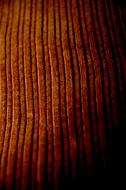 Velvet Fabric