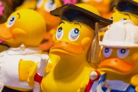 Bath Duck Plastic Rubber