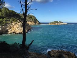Sea Cliffs