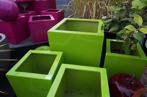Pot Green Pink