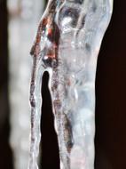 Icicle Cold