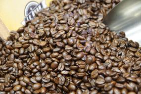 brown fragrant ripe grains