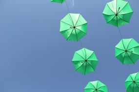 Umbrella Green