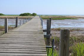 Bridge A Jetty