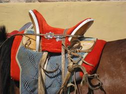 Saddle on Horse