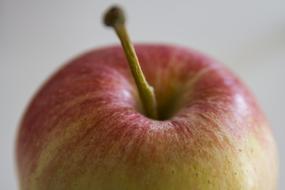 Apple Macro