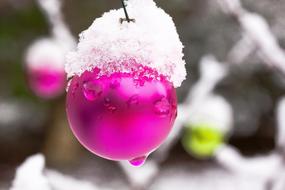 snow covered pink bauble