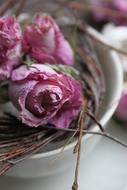 Pink Roses Decoration Dried Cup