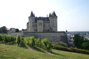 Saumur Castle