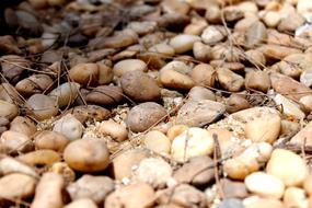 Stone Path River Rocks Stones Oval