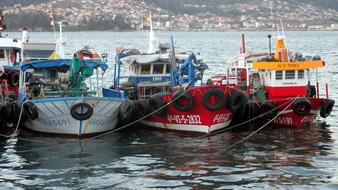 Fishing Sea