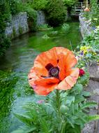 Flowers River