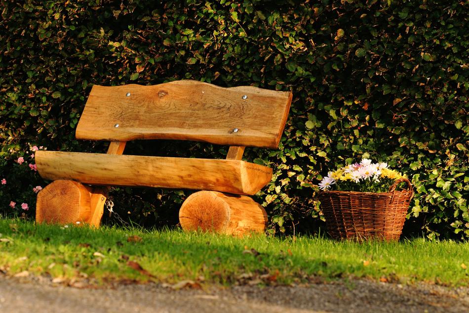 Bench Wood Seat