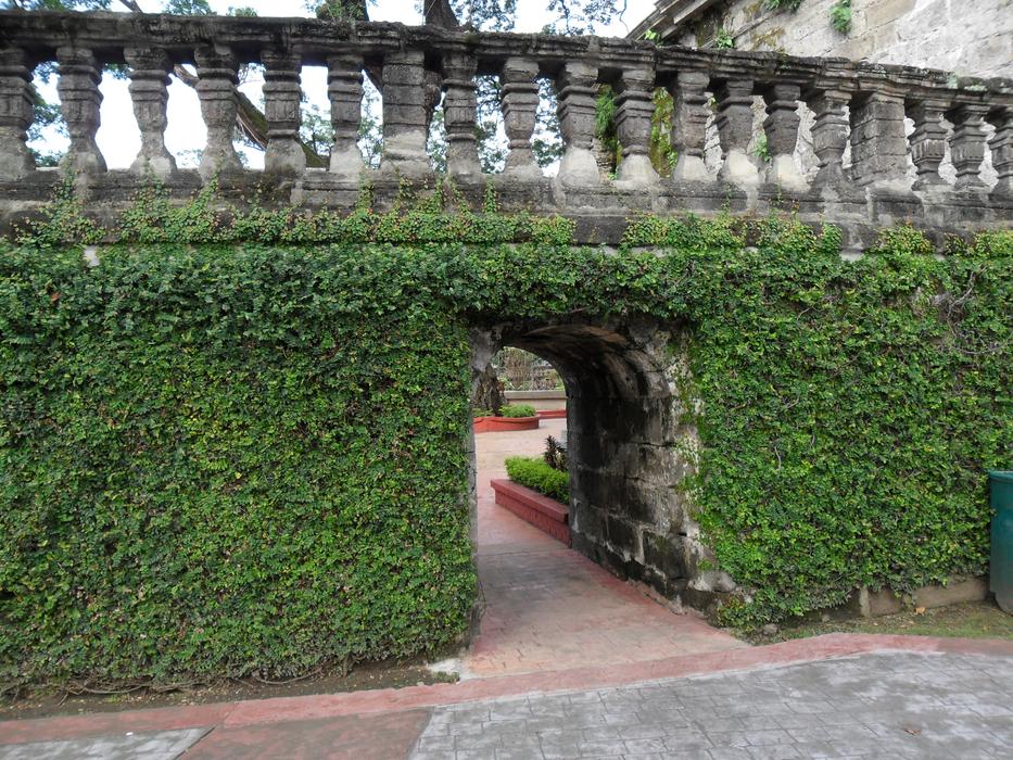 Ivy Covered Gate